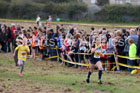 Girls under-11s Start Fitness North Eastern Harriers League, Wrekenton, Gateshead. Photo:  David T. Hewitson/Sports for All Pics